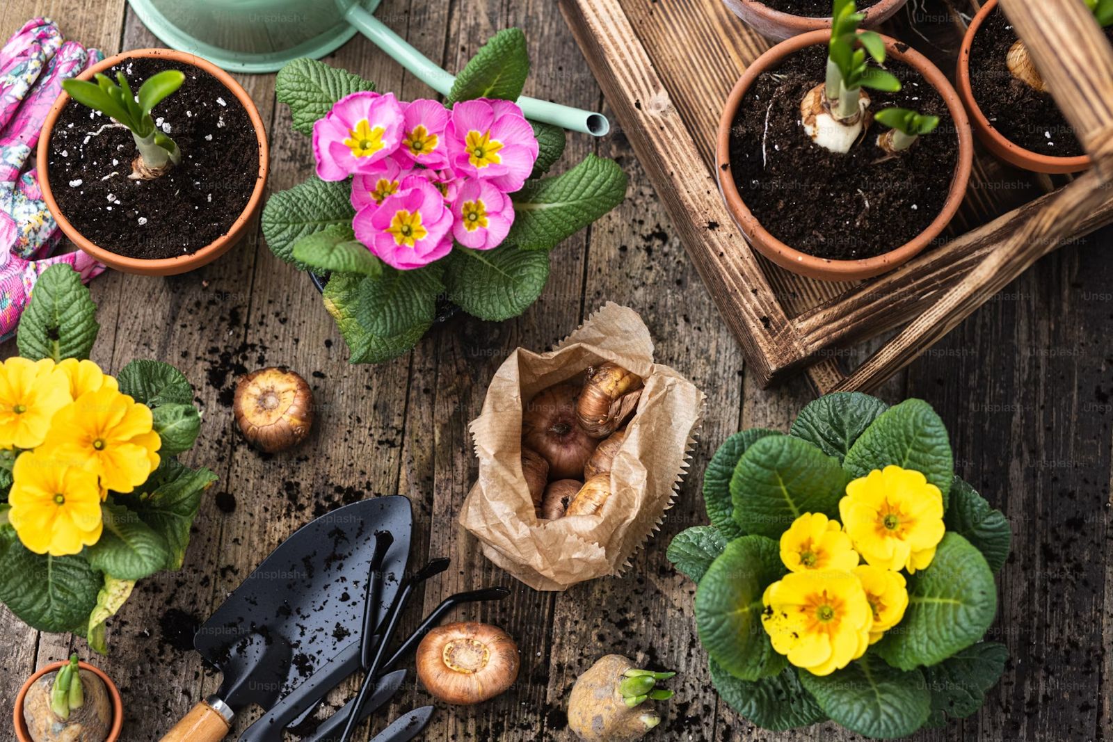 Horticulture & Gardening
