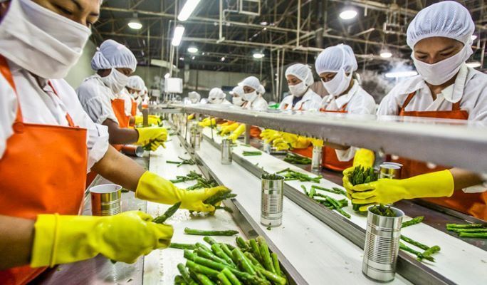 Food Production & Processing